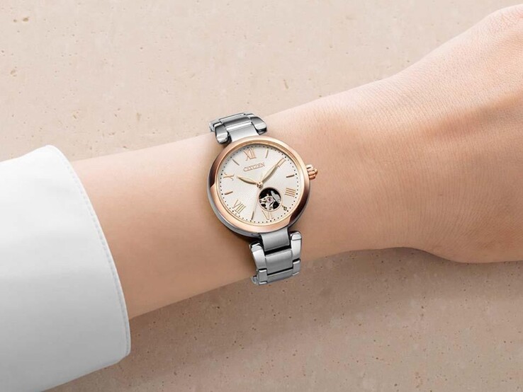 Die Citizen Collection PR1054-59A Uhr