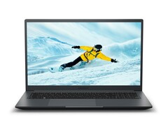 Das Medion Akoya P17619 kombiniert Intel Raptor Lake mit einer GeForce MX550. (Bild: Medion)