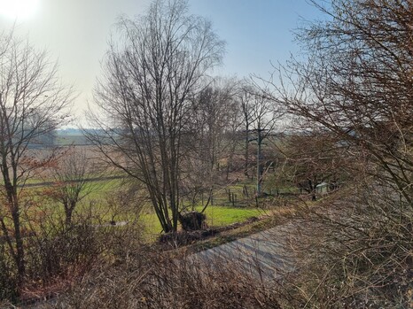 Aufnahme mit der Hauptkamera