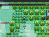 PokeDaisy beim Ausführen eines Pokémon-Spiels mit zusätzlichen Bildschirmeinblendungen.