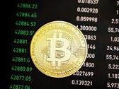 Betrüger hatten es auch 2021 wieder auf das Crypto von unvorsichtigen Investoren abgesehen (Bild: Executium)