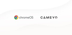 Google übernimmt Cameyo (Bild: Google Cloud Blog)