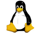 Der Pinguin ist das Logo von Linux