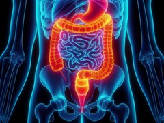 Die enterale Beatmung wurde erstmals erfolgreich am Menschen getestet. (Bildquelle: David_SMC via Pixabay)