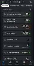 Zahlreiche Messwerte lassen sich anzeigen