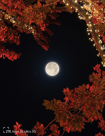 ... der Bilder aus allen vier Kameras sorgen.