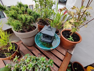 Aufnahme Weitwinkelobjektiv