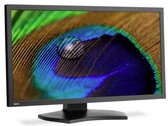 PA311D: Großer 4K-Monitor mit starker Farbabdeckung vorgestellt