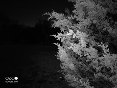 Die Nachtsichtkamera kann klare Bilder von Objekten innerhalb von 5 Metern in völliger Dunkelheit aufnehmen.