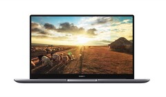 Das Huawei MateBook D15 ist ein schickes Notebook mit Metallgehäuse, durch Comet Lake-U fällt die Grafikleistung aber mäßig aus. (Bild: Huawei)