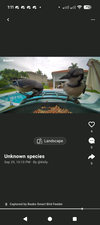 Integrierte Community für Vogelfreunde