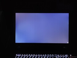 Kaum Backlight-Bleeding (hier verstärkt dargestellt)