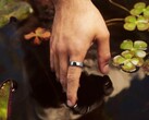 Samsung entwickelt eine neue Alternative zum Oura Ring 5.