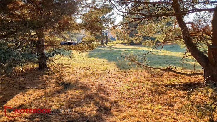 Die Drohne folgt sicher durchs Geäst