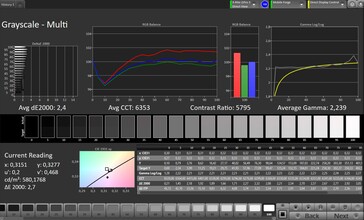 Graustufen (Profil: Pro Zielfarbraum: sRGB) - Innendisplay