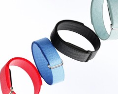 Fitbit Air macht Whoop 5.0 zum wesentlich günstigeren Preis Konkurrenz.