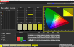 CalMAN Sättigung kalibriert