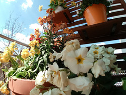 Aufnahme Frontkamera