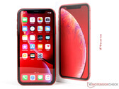 Das iPhone XR konnte im vergangenen Jahr die meisten Verkäufe aller Smartphones erzielen. (Bild: Notebookcheck)