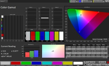 Farbraum (Profil: Professionell, Zielfarbraum: sRGB)