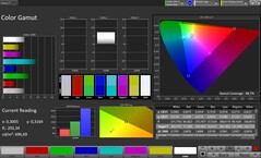 CalMAN Farbraum sRGB