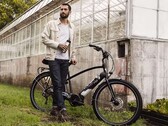 Das Electra Townie Path Go! verzichtet auf eine Federgabel