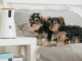 Furbo: Hundekamera wirft Leckerlis