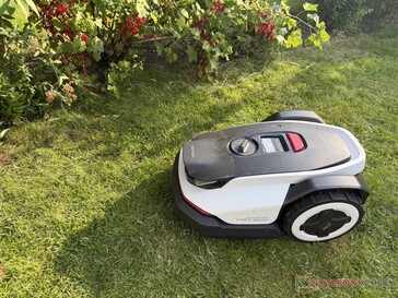 Hängen hingegen Pflanzen über die Rasenkante, macht der Mähroboter einen sehr großen Bogen.