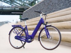 Passion Evo: E-Bike auch in auffälligen Farben (Bildquelle: Pegasus)