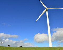 Bundesregierung will Ausbau der Windenergie vorantreiben: Stromversorgung soll unabhängiger von fossilen Brennstoffen werden (Bildquelle: Jonny Clow / Unsplash)