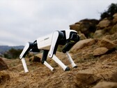 Der neueste Roboter-Hund von Dobot soll unter 1.000 Euro kosten. (Bildquelle: Dobot)