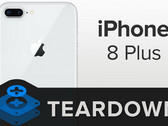 Apple iPhone 8 Plus: iFixit Teardown checkt Reparierbarkeit