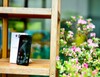 Motorola Moto G87 im Test.