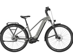 Iconic Evo Belt 29: Elektrofahrrad mit Riemenantrieb (Bildquelle: Bulls)