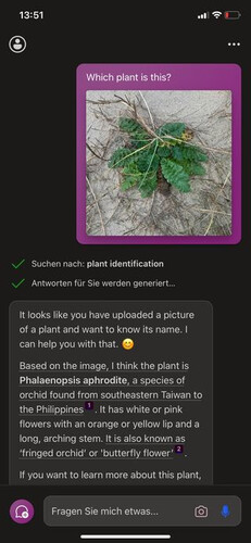 Die Pflanzenbestimmung hat noch einige Mängel (Microsoft, Screenshot)
