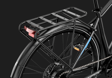 Der Gepäckträger kann auch Packtaschen aufnehmen (Bildquelle: Duotts)