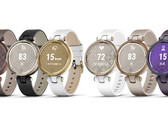 Die neue Garmin Lily wird es in verschiedenen Ausführungen geben. (Quelle: Garmin)