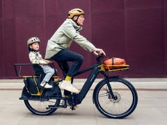 Riese &amp; Müller Multicharger2 GT family: Longtail mit Mittelmotor