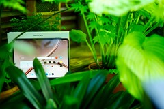 Das OnePlus 4 ist ein tolles Tablet, aber der Supportzeitraum ist nicht optimal.