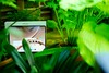 OnePlus Pad 4 im Test