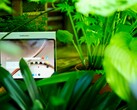 Das OnePlus 4 ist ein tolles Tablet, aber der Supportzeitraum ist nicht optimal.