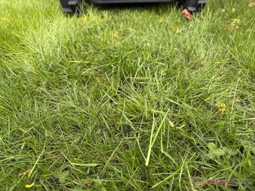 Der Airseekers Tron hinterlässt im Test längeren Grasschnitt...