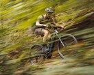 Das Numinis R300 ABS EQ ist ein starkes E-Bike (Symbolbild)