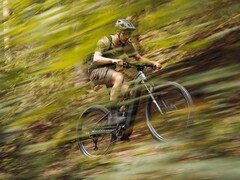 Das Numinis R300 ABS EQ ist ein starkes E-Bike (Symbolbild)