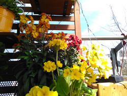 Aufnahme Frontkamera