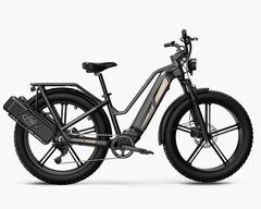 Fiido Titan: Starkes E-Bike mit fetten Reifen