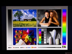 Große Betrachtungswinkel bei OLED-Displays