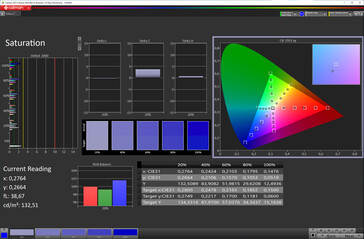 Farbsättigung (Farbschema Standard, Farbtemperatur Standard, Zielfarbraum sRGB)