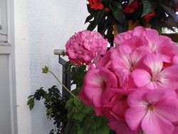 Aufnahme Frontkamera