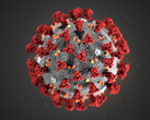 Das Netzwerk von Folding@Home wird derzeit genutzt um das Spike-Protein des Coronavirus zu analysieren (Bild: CDC)